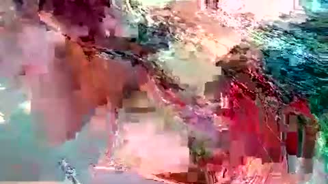 dolly_joana online show from November 10, 2025, 12:26 pm