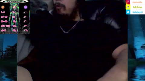 Snapshot of domanarchist chatting on February 4, 2025, 6:46 am Sullyboyx online show from February 4, 2025, 6:46 am