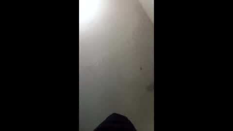 donkeykong34418301 online show from March 3, 2026, 6:08 am