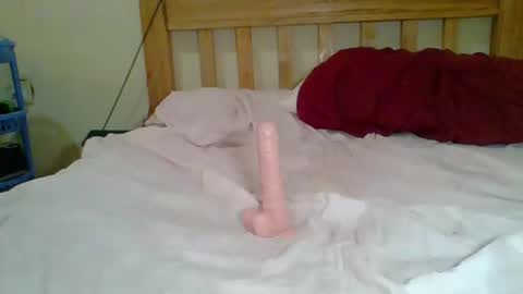 Snapshot of dottletop chatting on February 5, 2025, 8:21 am dottletop online show from February 5, 2025, 8:21 am