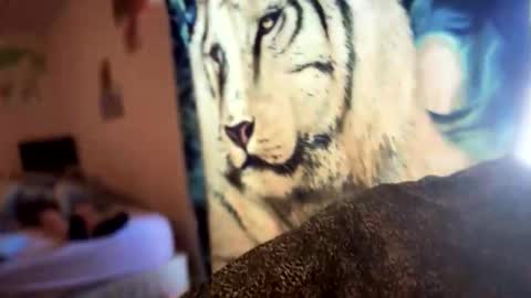 dove_love22 online show from November 21, 2025, 8:40 pm