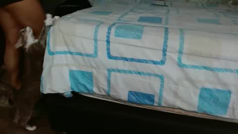 dreamreal online show from November 1, 2025, 2:41 pm