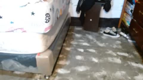 dreamreal online show from April 11, 2026, 10:52 am