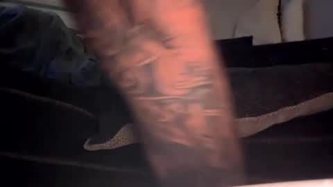 drippinggenie online show from January 3, 2025, 11:25 am