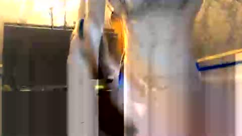 drippydickboy online show from January 13, 2026, 6:02 pm