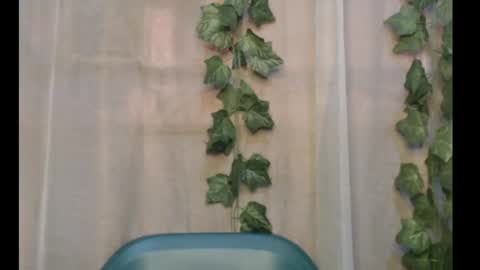 linda online show from September 29, 2025, 12:21 pm