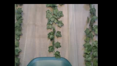 linda online show from October 6, 2025, 2:09 am