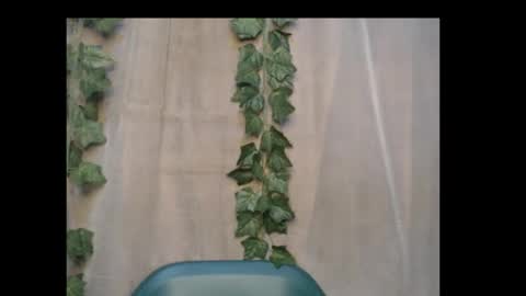 linda online show from October 15, 2025, 12:55 am