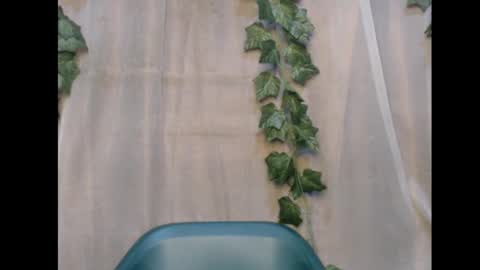 linda online show from November 12, 2025, 1:50 am