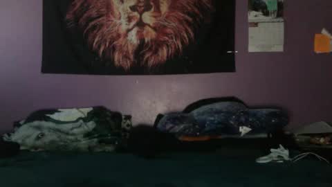 Snapshot of dripthehit chatting on January 10, 2025, 5:56 pm dripthehit online show from January 10, 2025, 5:56 pm