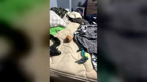 sissyginger online show from April 3, 2026, 1:14 am