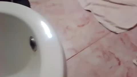 dthedog12 online show from November 21, 2025, 11:58 pm