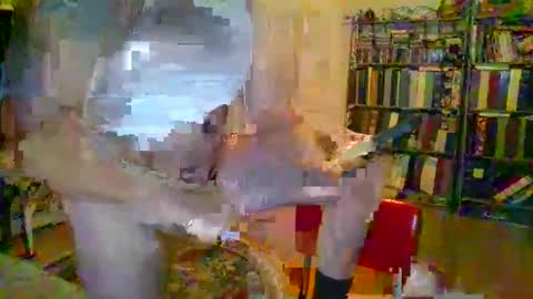 duallines2 online show from March 14, 2026, 5:35 am