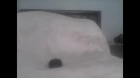 dudek0 online show from November 1, 2025, 2:19 pm