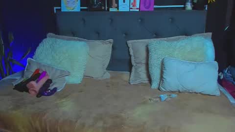 C E L E S T E  online show from February 6, 2025, 11:21 am