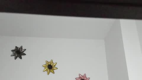 Snapshot of dulce_roberts_ chatting on January 5, 2025, 2:08 pm Dulce  online show from January 5, 2025, 2:08 pm