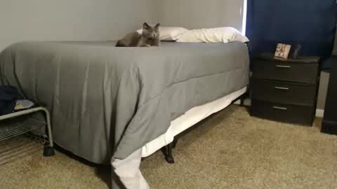 dwhitey4u online show from December 31, 2024, 8:02 pm