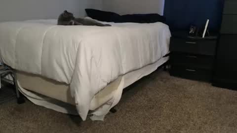 dwhitey4u online show from November 2, 2025, 8:00 pm