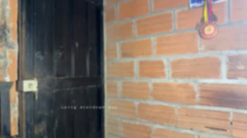 Dylangusss online show from January 15, 2026, 4:06 am