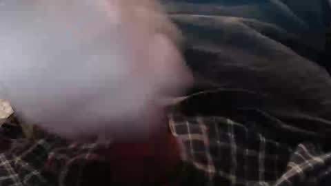 eat_a_peach2 online show from April 2, 2026, 10:35 am