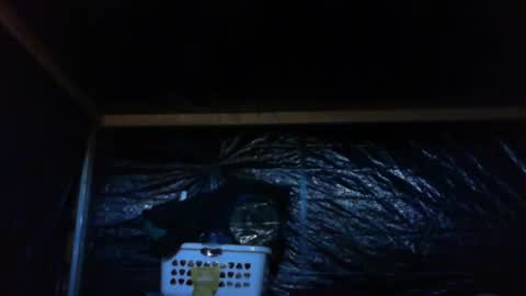 ebear1 online show from February 27, 2025, 9:36 pm