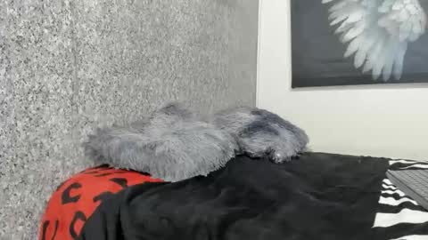 edi_stwix18 online show from January 13, 2026, 3:39 pm