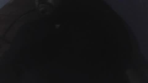 edu4394 online show from March 23, 2026, 2:37 am