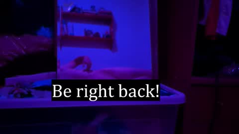 Alex online show from February 7, 2026, 12:25 am