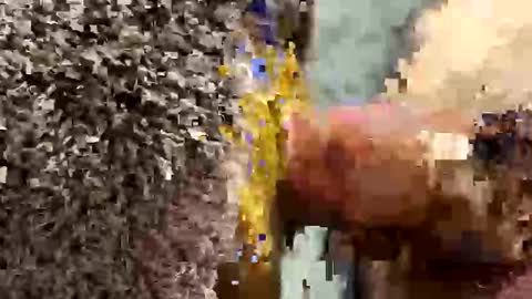 ehdgher online show from September 19, 2025, 11:11 am