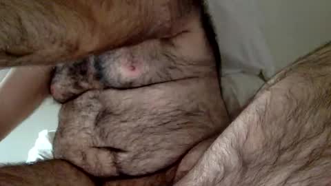 elabear online show from December 23, 2024, 3:33 pm