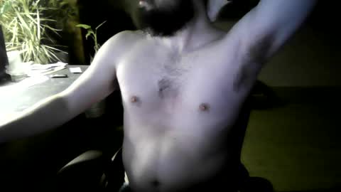 Snapshot of elephantfox chatting on April 4, 2026, 4:44 am fox online show from April 4, 2026, 4:44 am