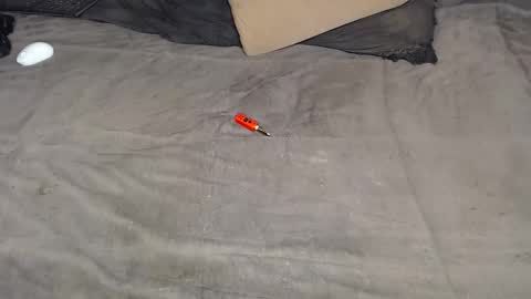 elgsslt online show from March 11, 2026, 12:22 pm