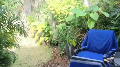 eliberator online show from January 18, 2025, 7:58 pm