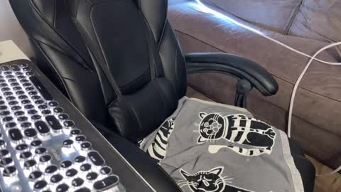 Snapshot of elisa_north chatting on March 9, 2025, 9:57 am Elisa North online show from March 9, 2025, 9:57 am