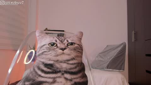 Eli online show from December 7, 2024, 7:16 am