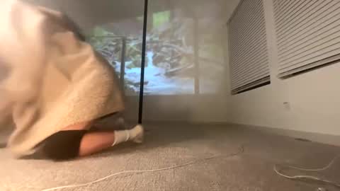 ella_ella_ella_ay online show from January 11, 2026, 11:26 am