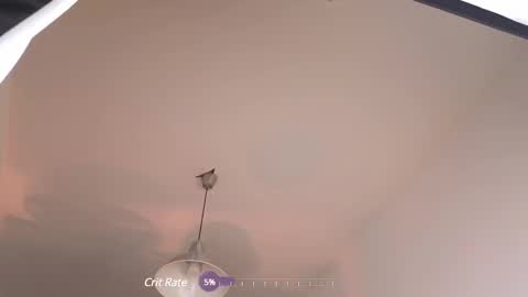 elliefrost online show from February 12, 2025, 12:37 am