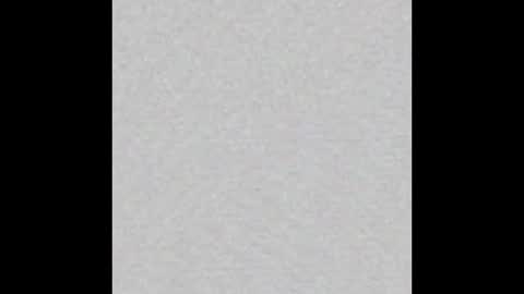 Ellie online show from November 2, 2025, 9:11 am