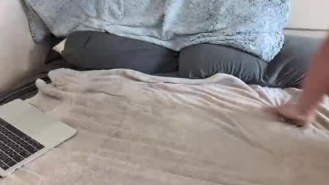 Just a bi guy online show from April 30, 2026, 8:37 pm