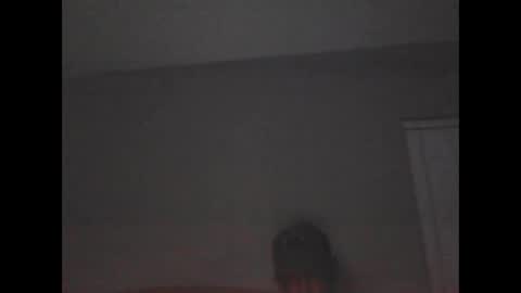 elwooood7 online show from January 28, 2025, 10:45 am