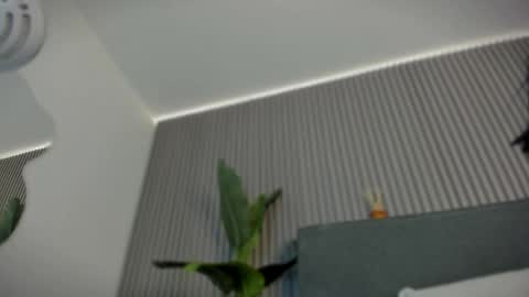 emelie_89 online show from June 6, 2026, 11:48 am