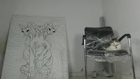 Antonella  online show from March 17, 2026, 2:27 am