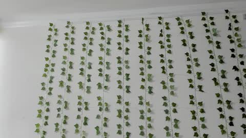 emily online show from February 5, 2026, 4:00 pm