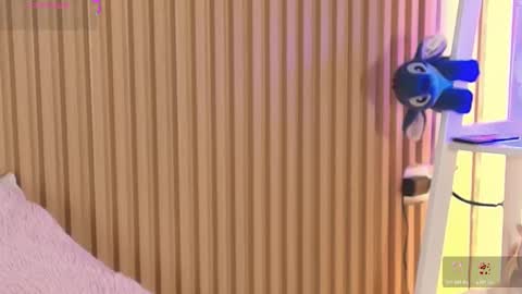 Emily online show from March 20, 2026, 12:32 pm