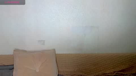 Emily wish-list  online show from February 27, 2026, 7:30 am