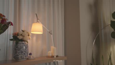 Snapshot of emma_lu1 chatting on October 9, 2025, 2:48 pm emma_lu1 online show from October 9, 2025, 2:48 pm