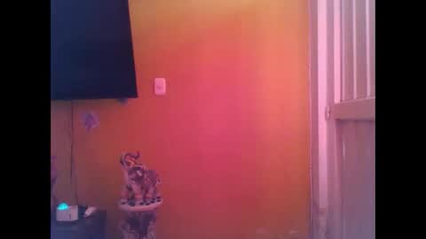 EmmaSplycer online show from April 20, 2026, 9:16 pm