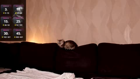 Shaiya online show from March 2, 2025, 8:29 pm