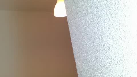 emmie online show from January 28, 2025, 8:25 am