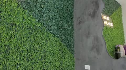 Snapshot of emmiily_z chatting on January 31, 2025, 11:13 pm Emmiily online show from January 31, 2025, 11:13 pm